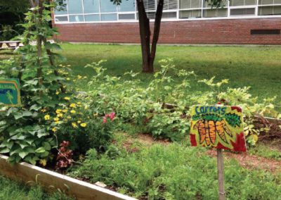 school garden